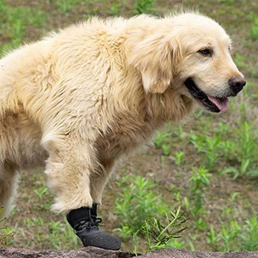 Åndbare Vandtætte Hunde Vandrestøvler med Skridsikker Sål
