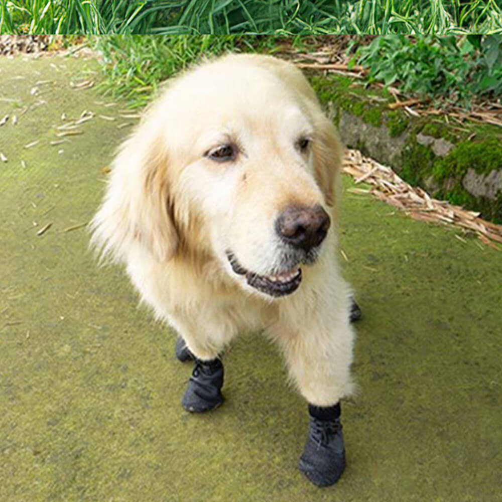 Åndbare Vandtætte Hunde Vandrestøvler med Skridsikker Sål