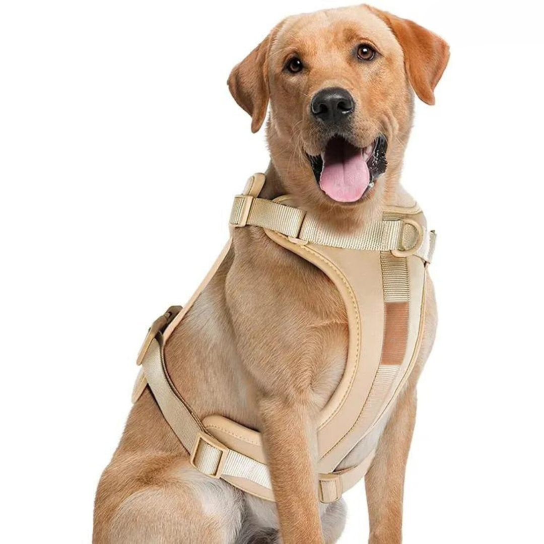No-Pull Hundesele Sæt med Blød Snor og Affaldsposer Holder
