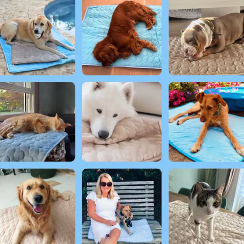 Gel-Fri Kølemåtte til Hunde - Komfortabel Sommer Pet Pad