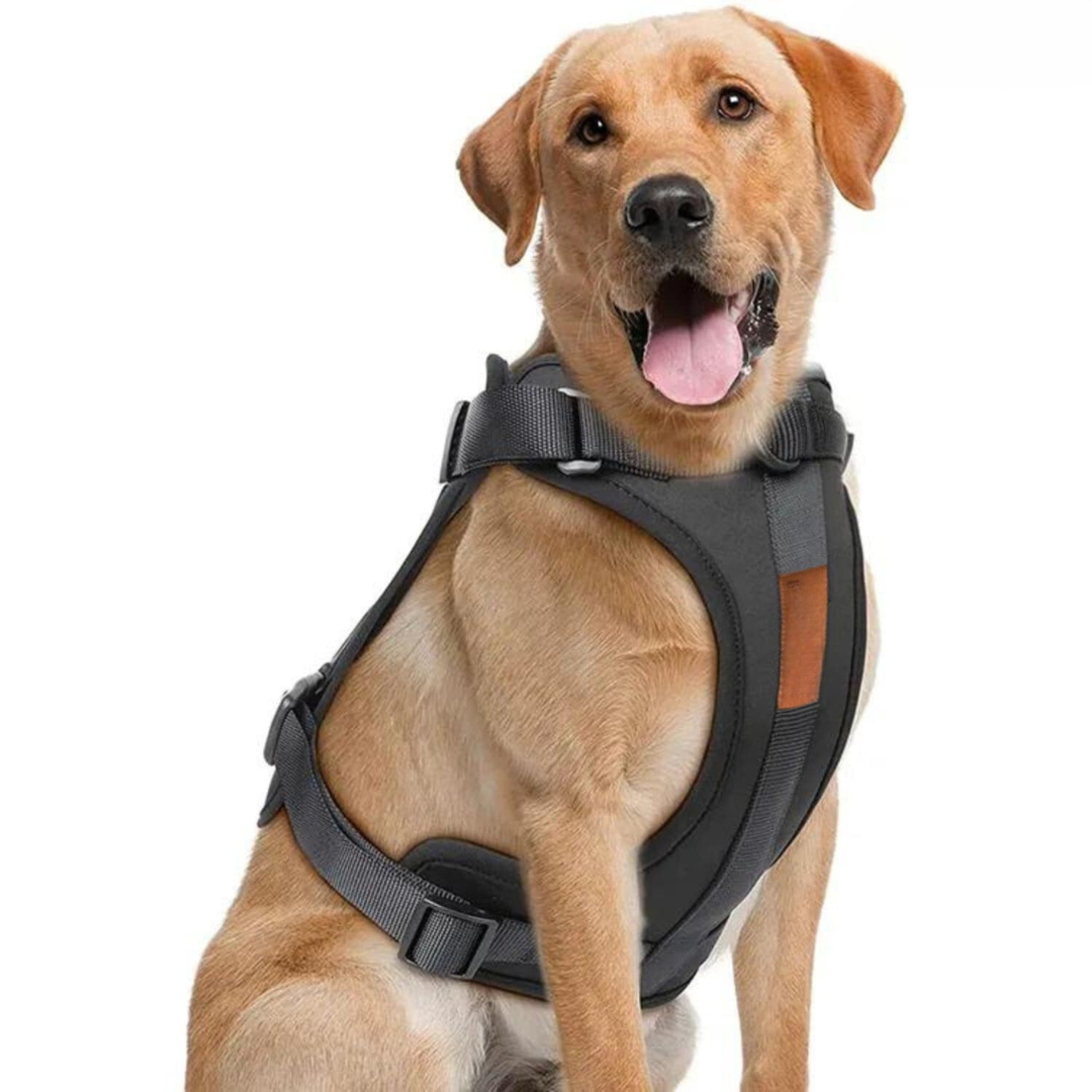 No-Pull Hundesele Sæt med Blød Snor og Affaldsposer Holder