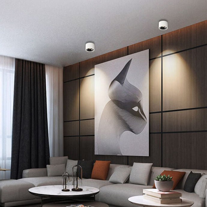 Justerbar Minimalistisk LED Loftlampe i Sort eller Hvid