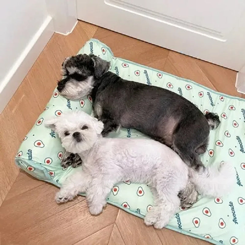 Selvkølende Kølemåtte med Pude til Hunde og Katte