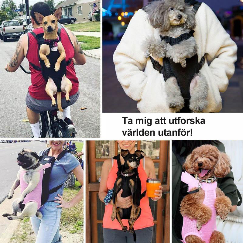 Justerbar Kæledyr Rygsæk med Mesh Paneler