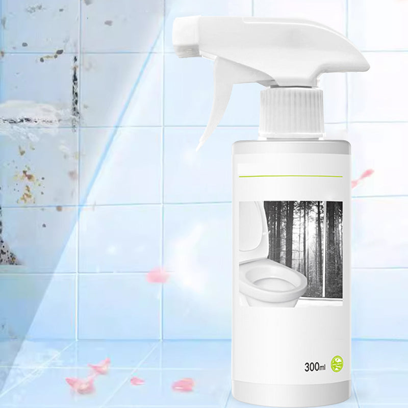 Kraftfuld Toilet Rengøringsmiddel med Oxalsyre 300 ml