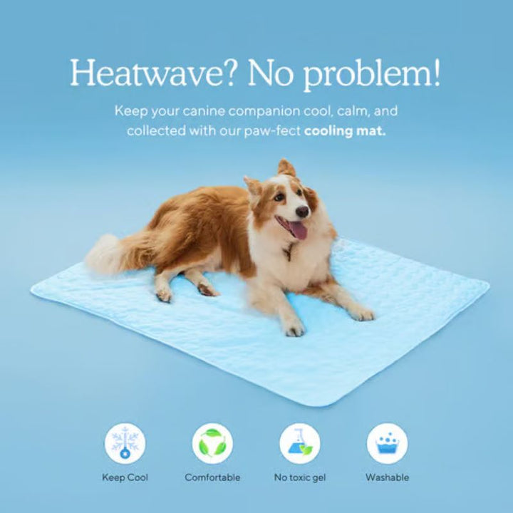 Gel-Fri Kølemåtte til Hunde - Komfortabel Sommer Pet Pad