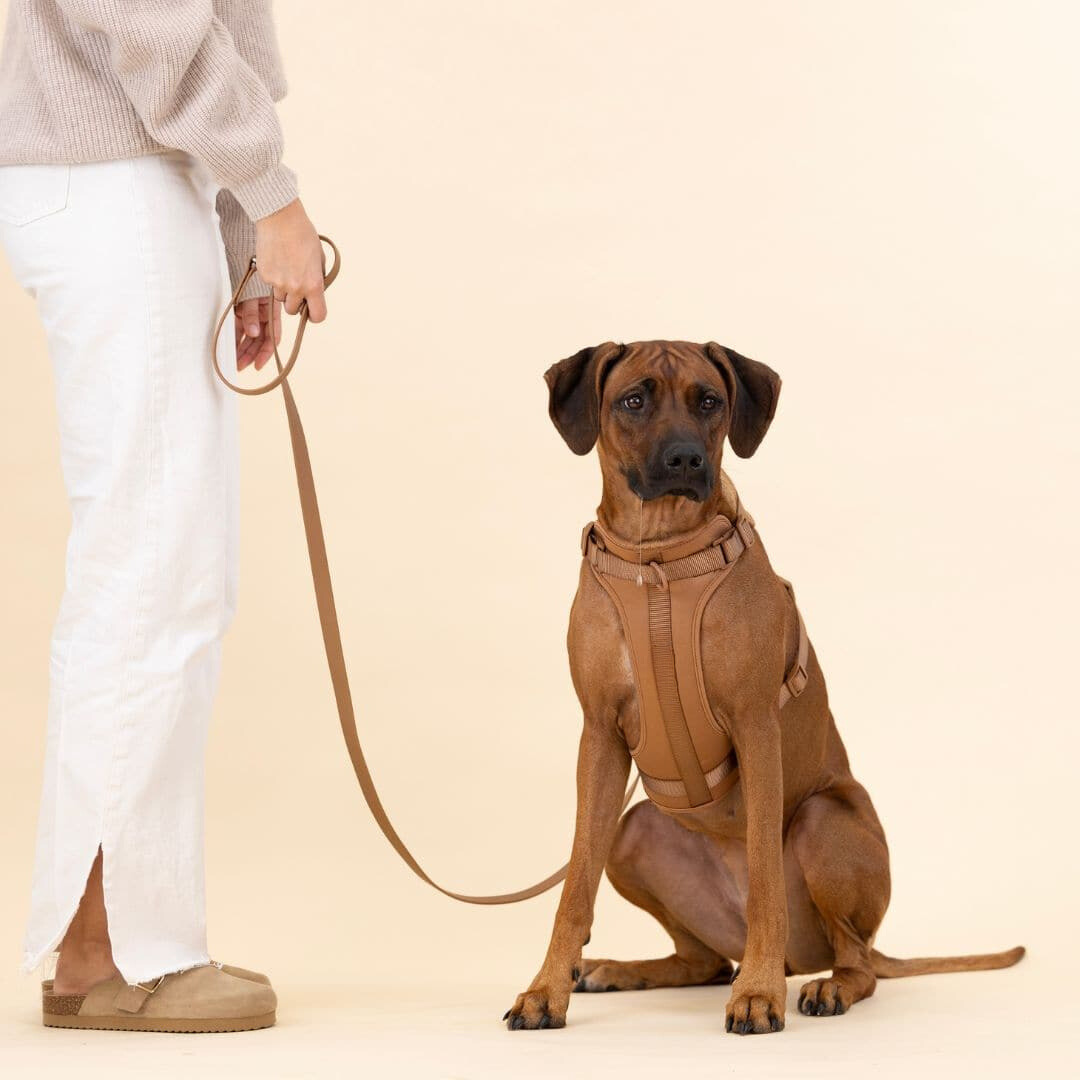 No-Pull Hundesele Sæt med Blød Snor og Affaldsposer Holder