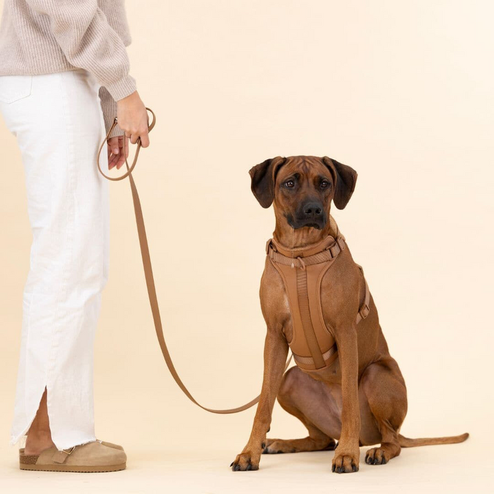 No-Pull Hundesele Sæt med Blød Snor og Affaldsposer Holder
