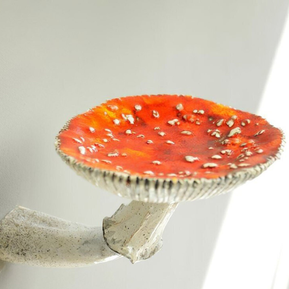 Farverig Flydende Svamp Væg Hylde i Resin