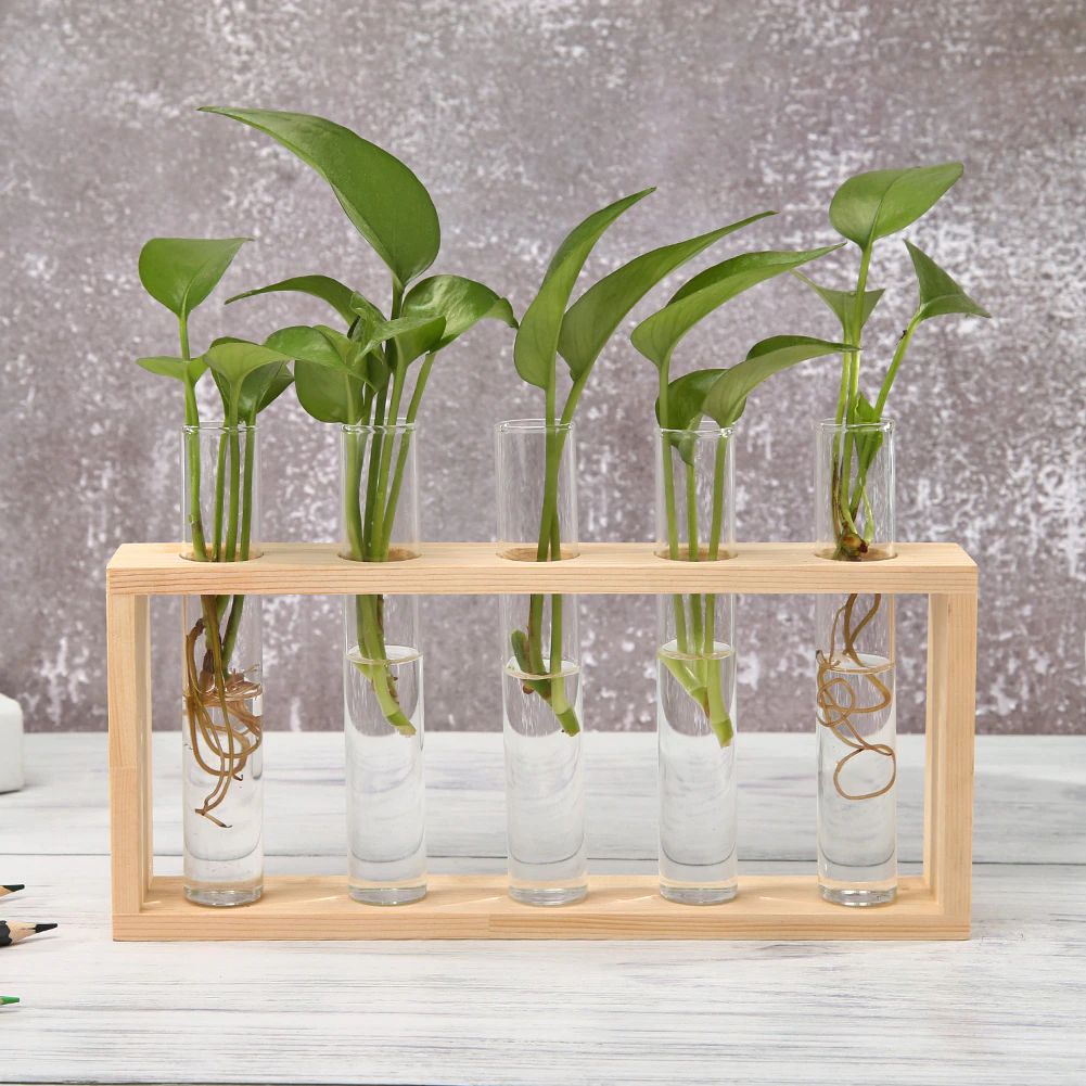 Glas Prøveglas Vase med Træstativ - Mørk Akademisk Stil