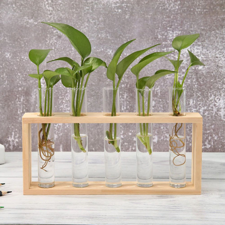Glas Prøveglas Vase med Træstativ - Mørk Akademisk Stil
