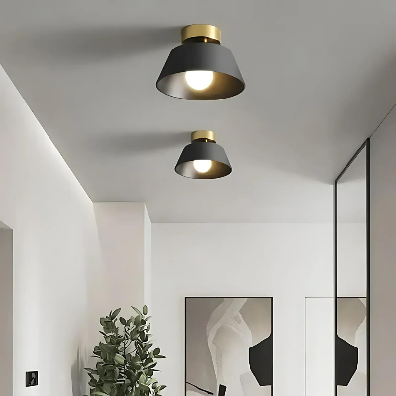 Elegant Sort og Hvid LED Loftlampe i Jern