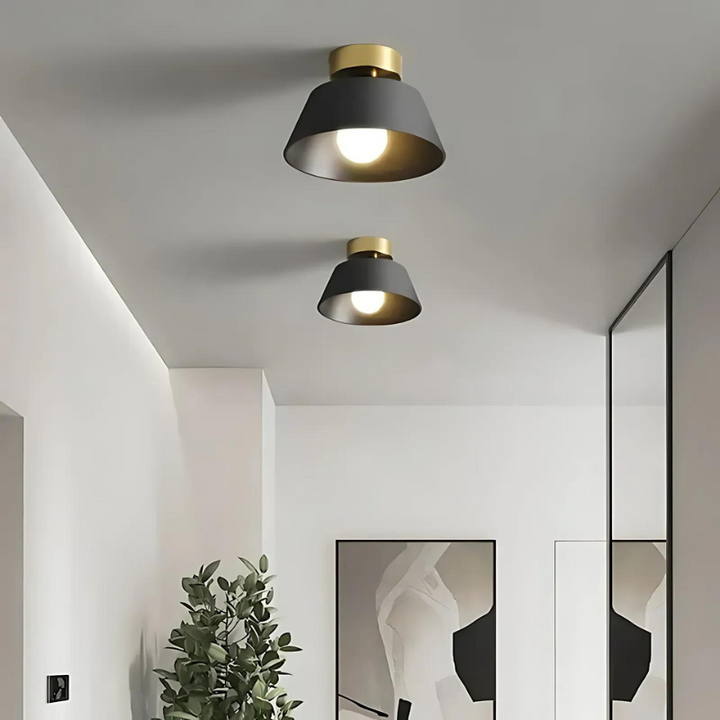 Elegant Sort og Hvid LED Loftlampe i Jern