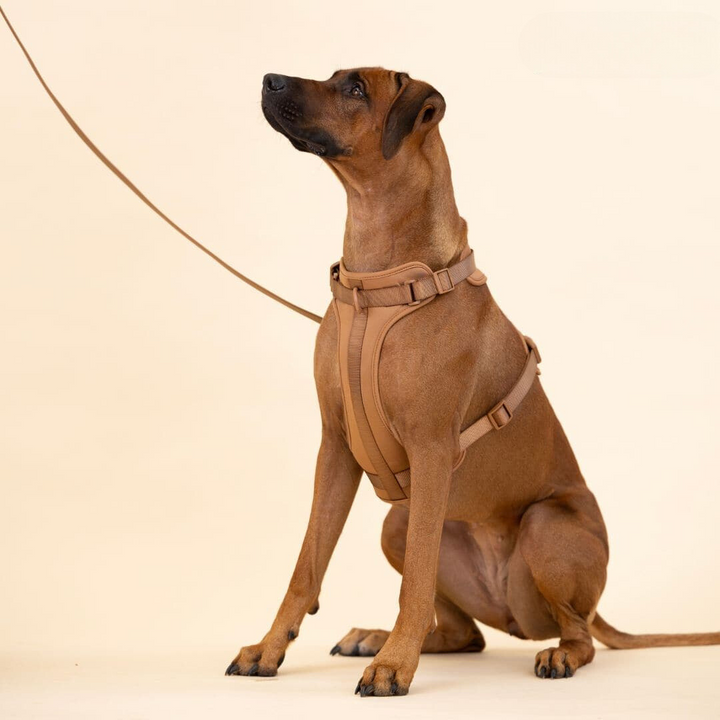 No-Pull Hundesele Sæt med Blød Snor og Affaldsposer Holder