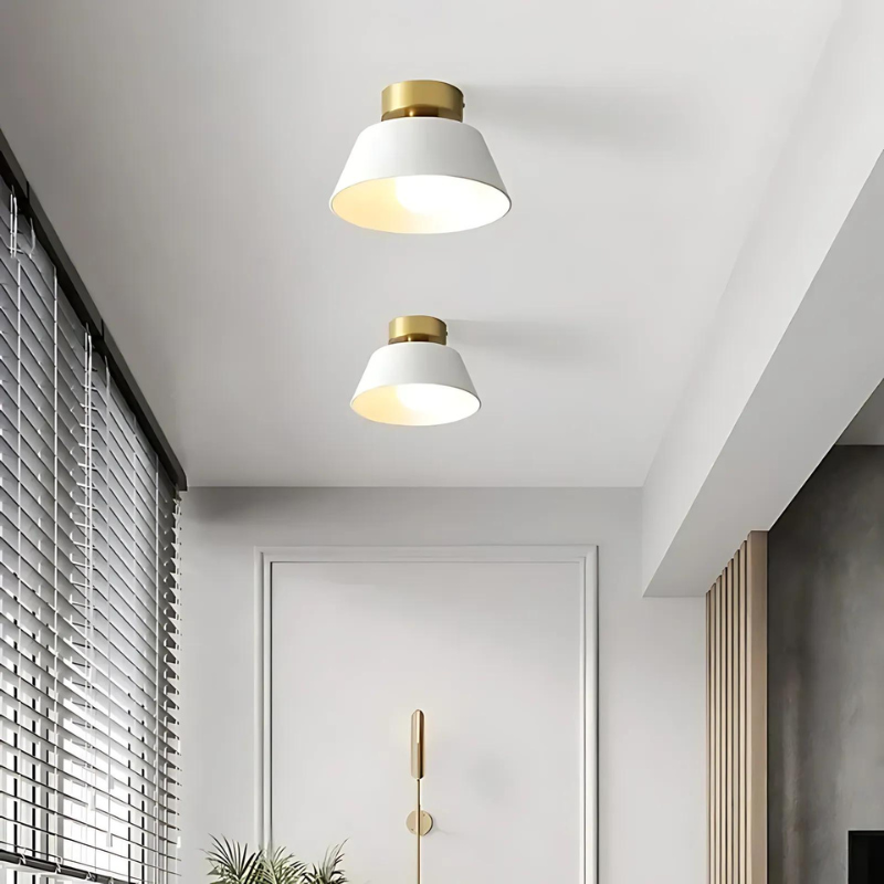Elegant Sort og Hvid LED Loftlampe i Jern