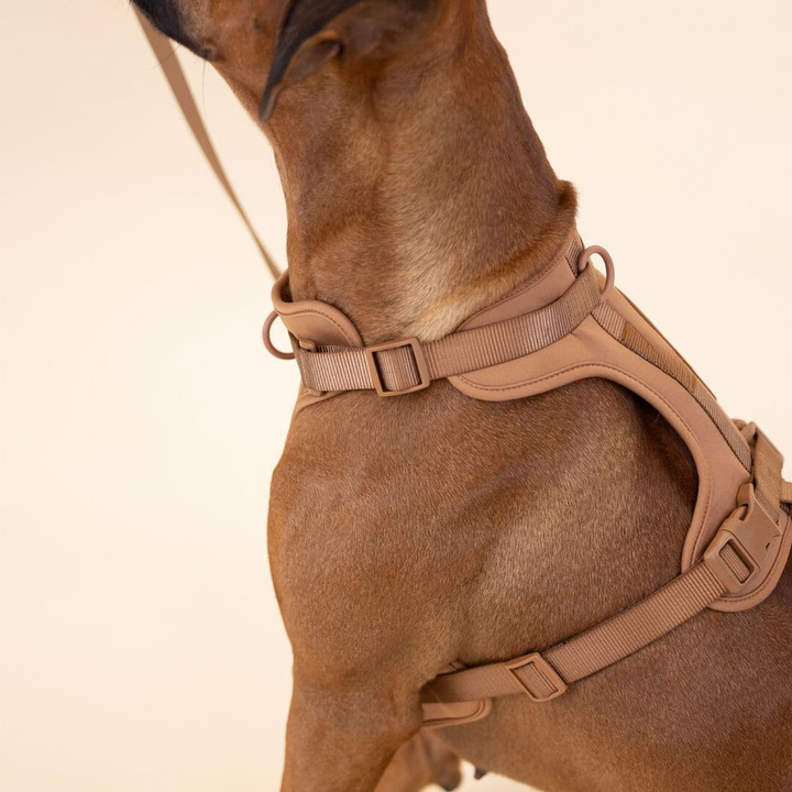 No-Pull Hundesele Sæt med Blød Snor og Affaldsposer Holder