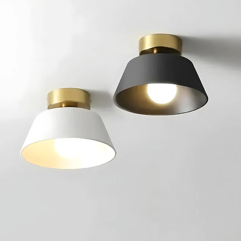 Elegant Sort og Hvid LED Loftlampe i Jern