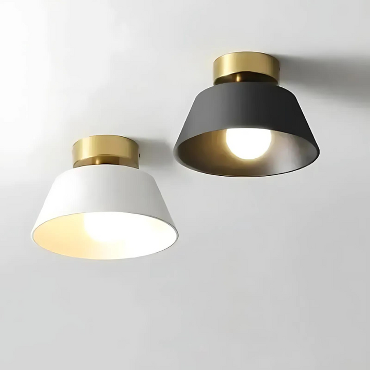Elegant Sort og Hvid LED Loftlampe i Jern