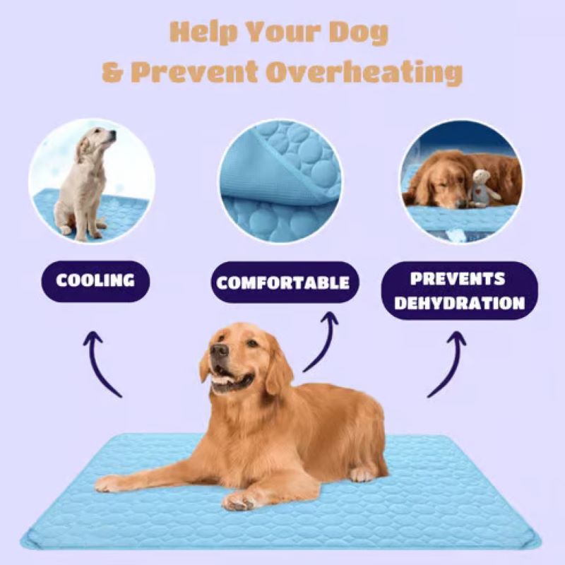 Gel-Fri Kølemåtte til Hunde - Komfortabel Sommer Pet Pad