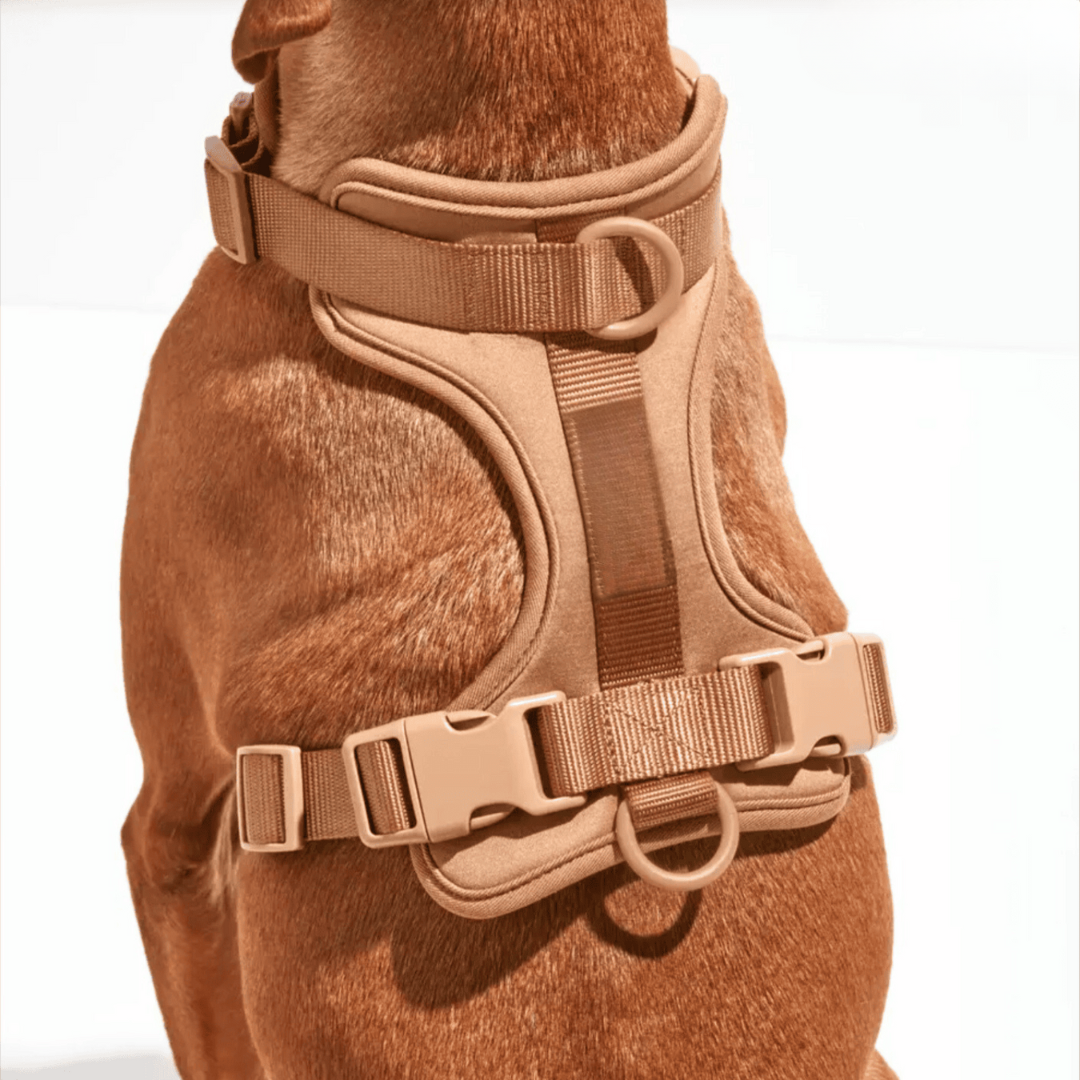 No-Pull Hundesele Sæt med Blød Snor og Affaldsposer Holder