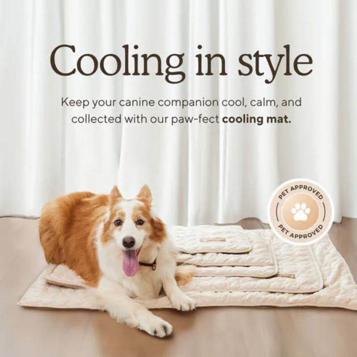 Gel-Fri Kølemåtte til Hunde - Komfortabel Sommer Pet Pad