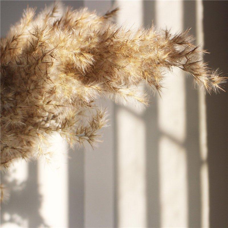 Naturlig Tørret Pampasgræs Buket 60 cm - Fluffy Boho Dekorativ Blomsterarrangement