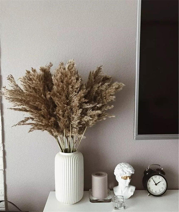Naturlig Tørret Pampasgræs Buket 60 cm - Fluffy Boho Dekorativ Blomsterarrangement