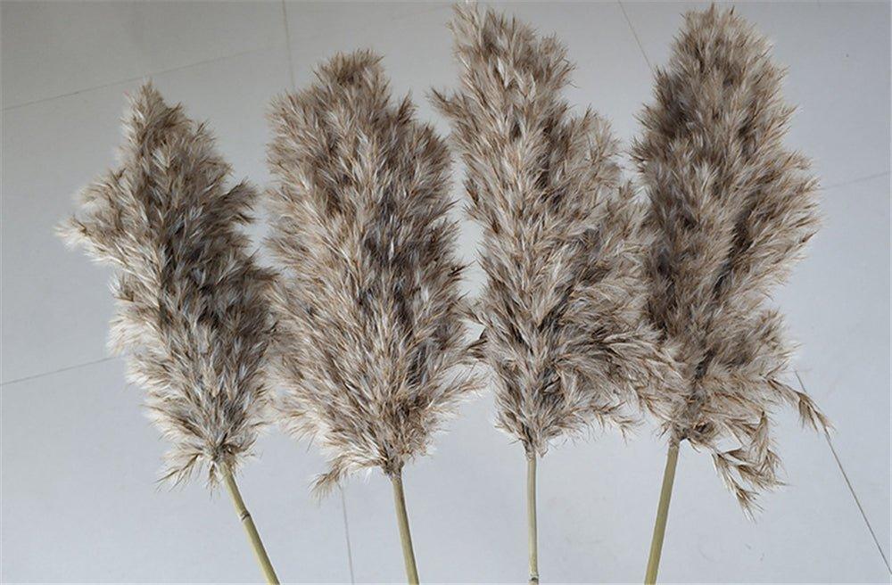 Naturlig Tørret Pampasgræs Buket 60 cm - Fluffy Boho Dekorativ Blomsterarrangement