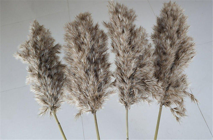 Naturlig Tørret Pampasgræs Buket 60 cm - Fluffy Boho Dekorativ Blomsterarrangement