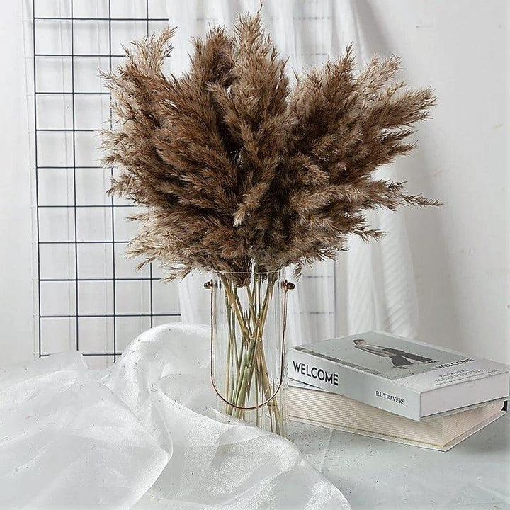 Naturlig Tørret Pampasgræs Buket 60 cm - Fluffy Boho Dekorativ Blomsterarrangement