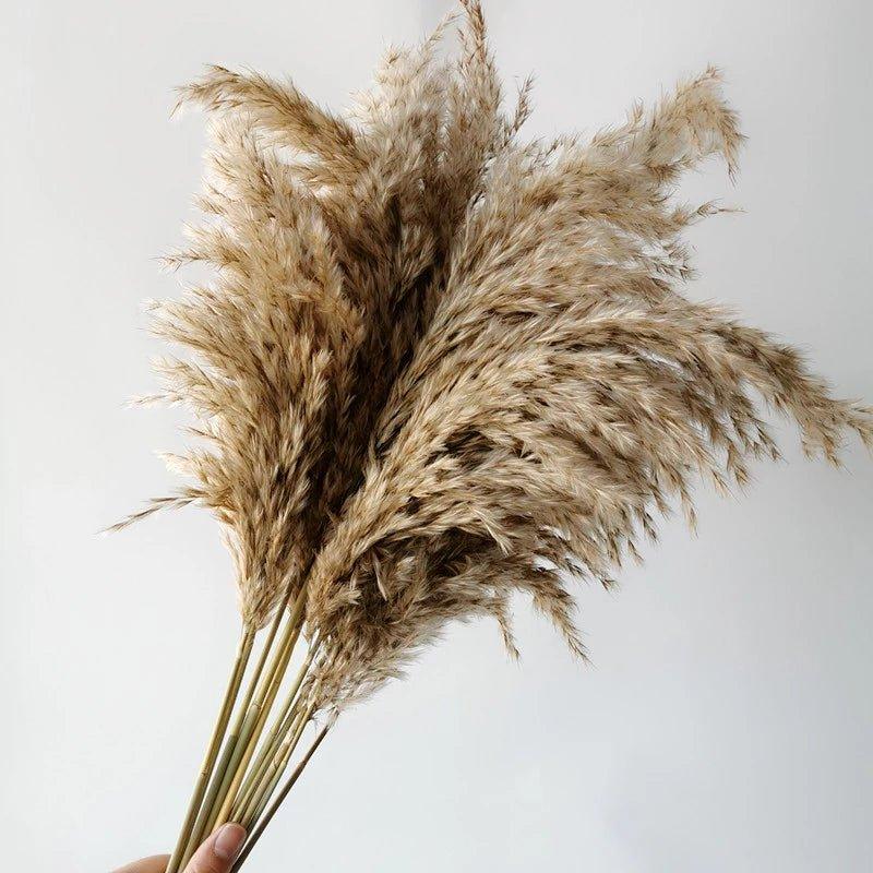 Naturlig Tørret Pampasgræs Buket 60 cm - Fluffy Boho Dekorativ Blomsterarrangement