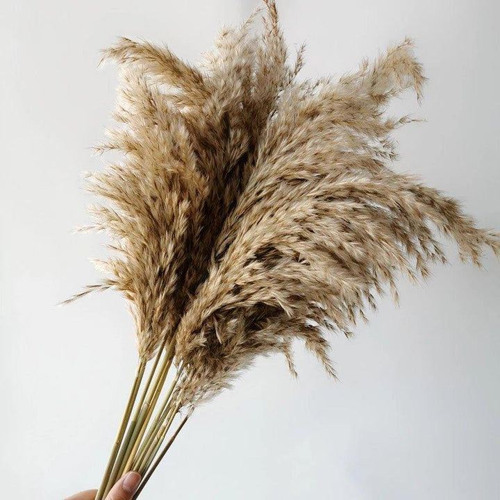 Naturlig Tørret Pampasgræs Buket 60 cm - Fluffy Boho Dekorativ Blomsterarrangement