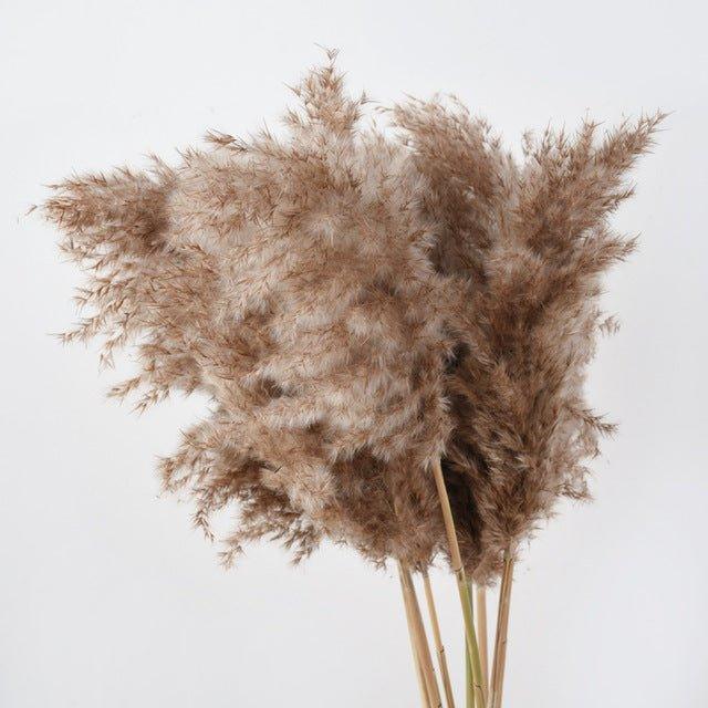 Naturlig Tørret Pampasgræs Buket 60 cm - Fluffy Boho Dekorativ Blomsterarrangement