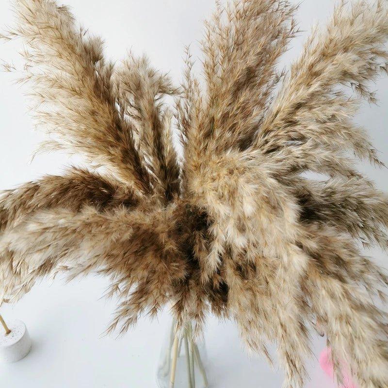 Naturlig Tørret Pampasgræs Buket 60 cm - Fluffy Boho Dekorativ Blomsterarrangement