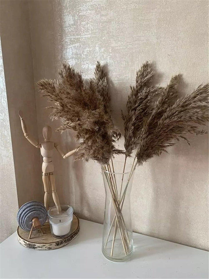 Naturlig Tørret Pampasgræs Buket 60 cm - Fluffy Boho Dekorativ Blomsterarrangement