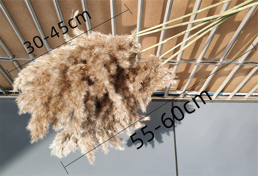 Naturlig Tørret Pampasgræs Buket 60 cm - Fluffy Boho Dekorativ Blomsterarrangement
