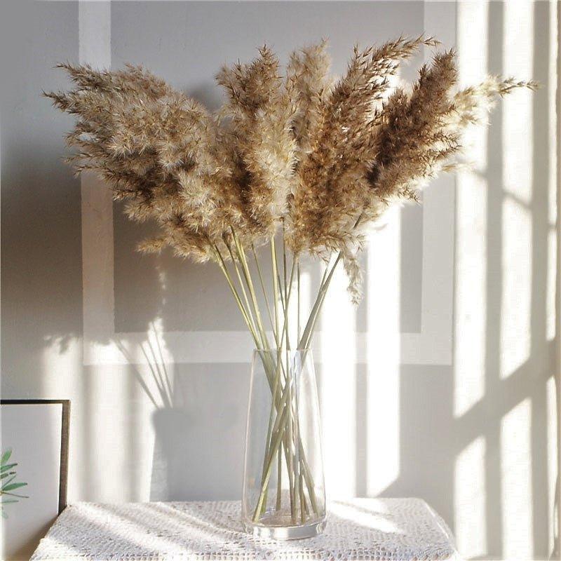 Naturlig Tørret Pampasgræs Buket 60 cm - Fluffy Boho Dekorativ Blomsterarrangement