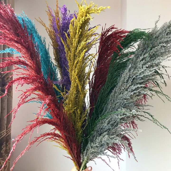 Tørret Pampas Græs Blomster - Boho Dekoration