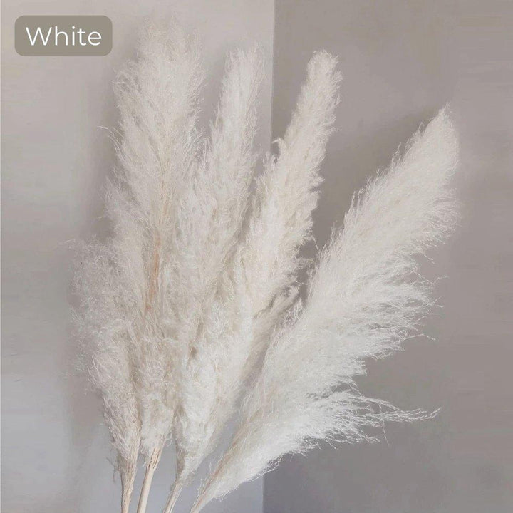 Naturlig Tørret Pampas Græs Buket i Hvid, Beige og Grå - 80 cm Fluffy Dekoration