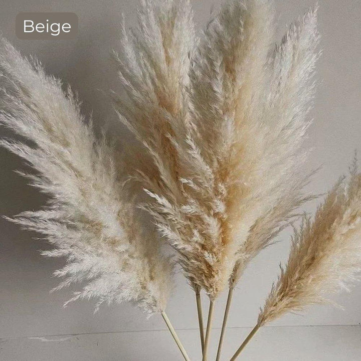 Naturlig Tørret Pampas Græs Buket i Hvid, Beige og Grå - 80 cm Fluffy Dekoration