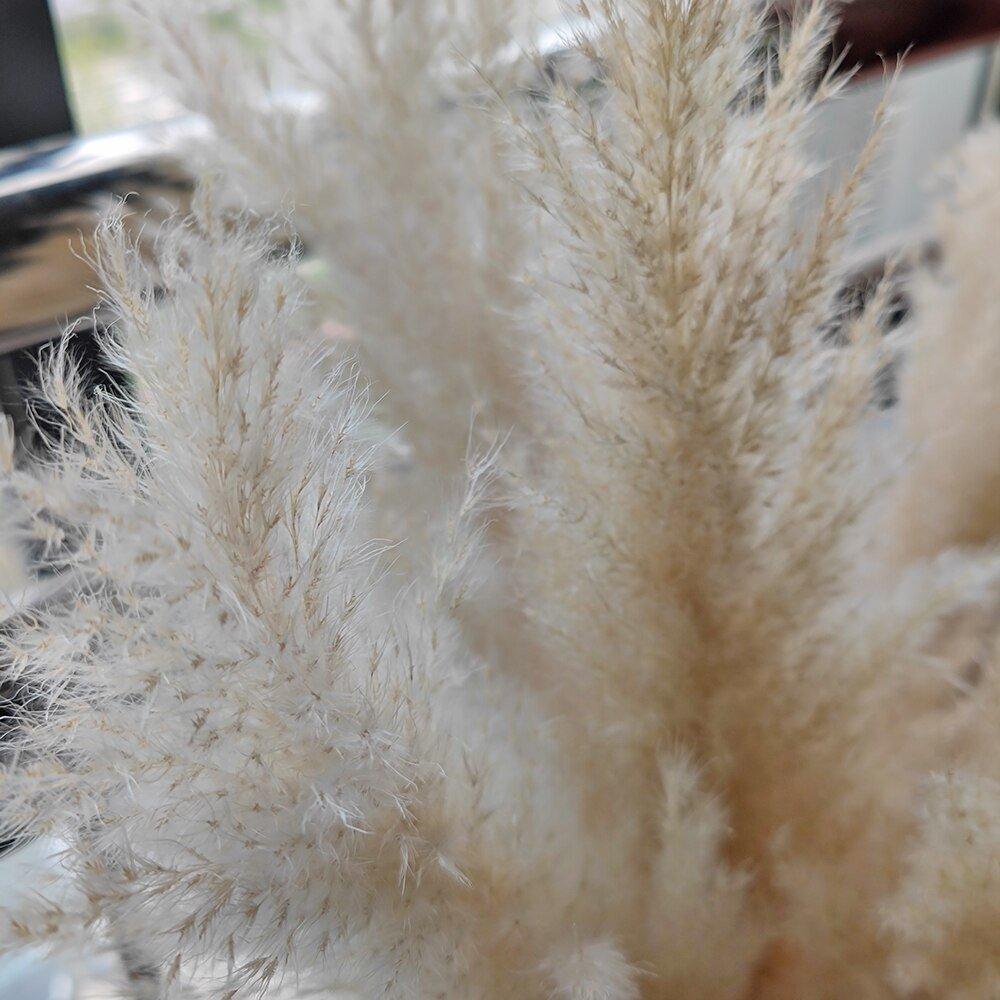 Naturlig Tørret Pampas Græs Buket i Hvid, Beige og Grå - 80 cm Fluffy Dekoration
