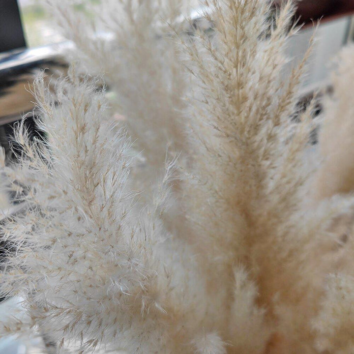 Naturlig Tørret Pampas Græs Buket i Hvid, Beige og Grå - 80 cm Fluffy Dekoration