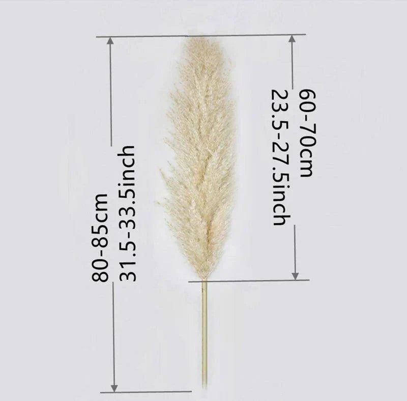 Naturlig Tørret Pampas Græs Buket i Hvid, Beige og Grå - 80 cm Fluffy Dekoration