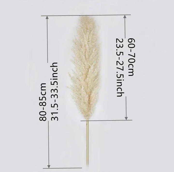 Naturlig Tørret Pampas Græs Buket i Hvid, Beige og Grå - 80 cm Fluffy Dekoration