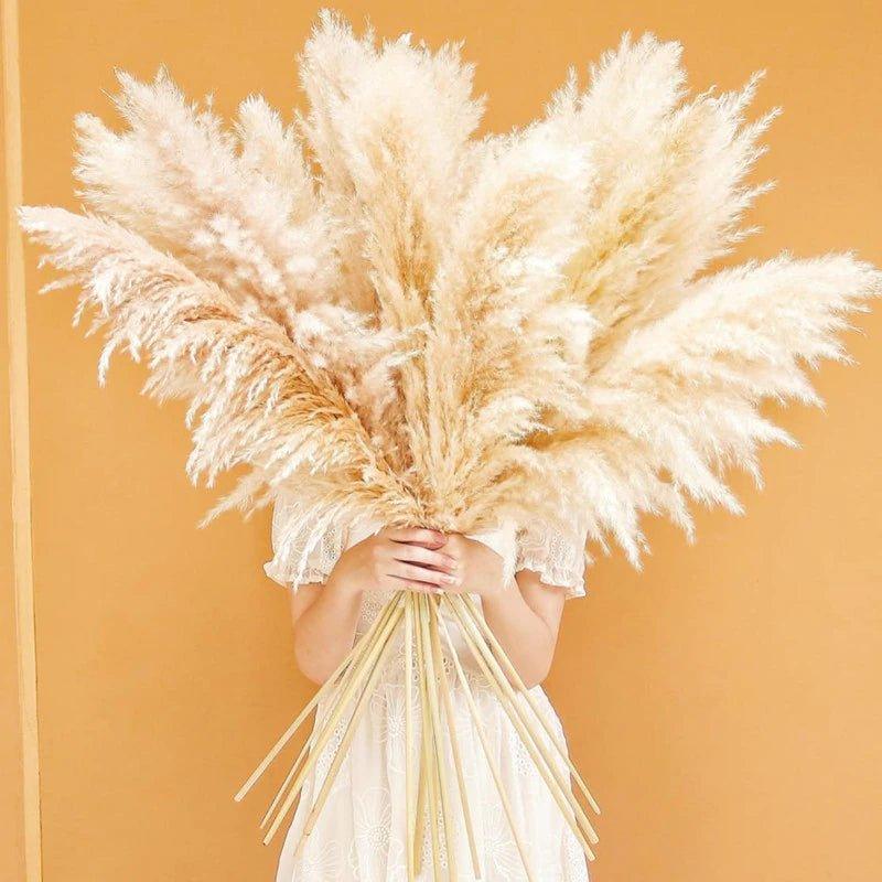 Naturlig Tørret Pampas Græs Buket i Hvid, Beige og Grå - 80 cm Fluffy Dekoration