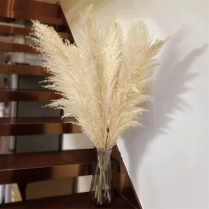 Naturlig Tørret Pampas Græs Buket i Hvid, Beige og Grå - 80 cm Fluffy Dekoration