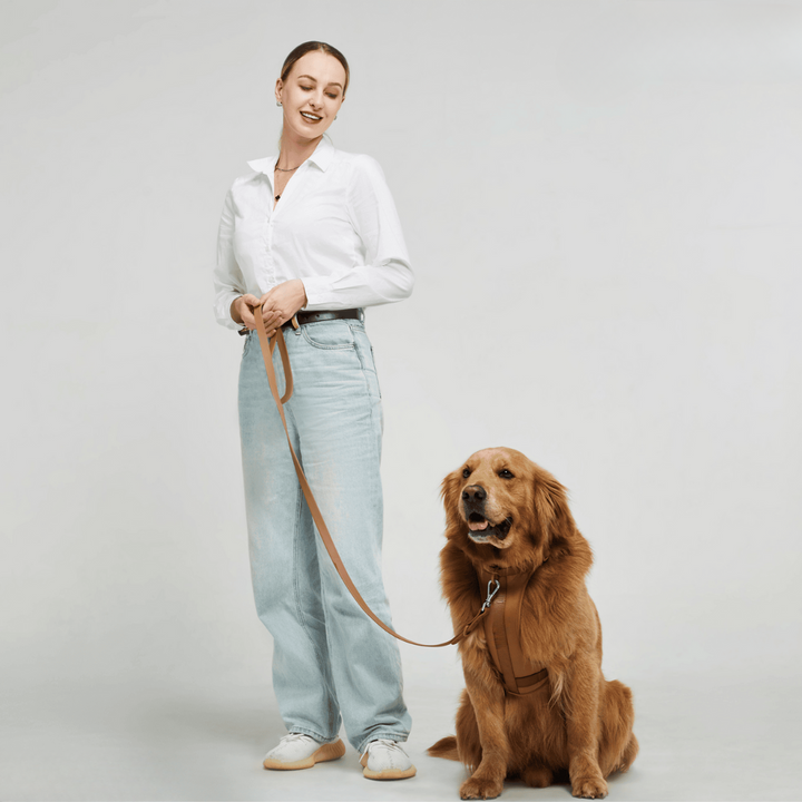 No-Pull Hundesele Sæt med Blød Snor og Affaldsposer Holder