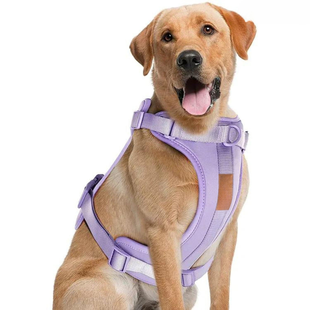 No-Pull Hundesele Sæt med Blød Snor og Affaldsposer Holder