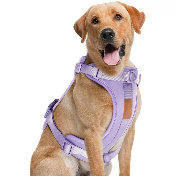 No-Pull Hundesele Sæt med Blød Snor og Affaldsposer Holder