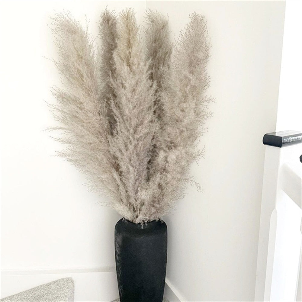 Tørret Pampas Græs Blomster - Boho Dekoration